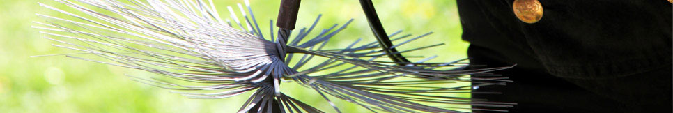 Banner - Alexander Bücherl